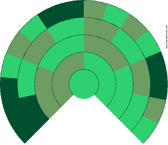 Vicenta Satué Iborte Diagramma Circolare