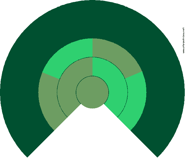 Ramón Villanava Zaraluque Diagrama circular