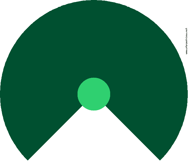 Domingo Antonio Iborte Illera Diagrama circular
