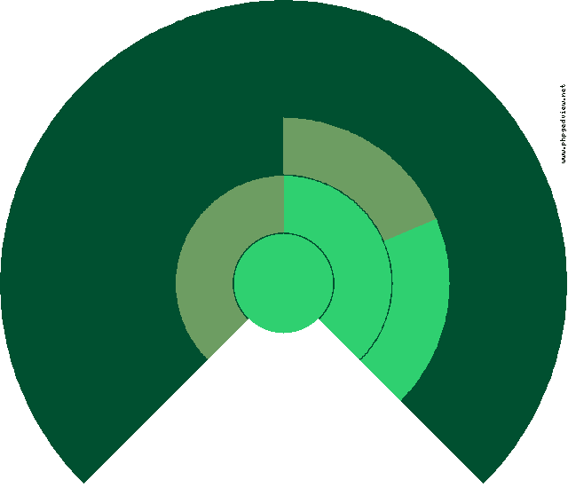 Petra María Santos Iborte Diagrama circular