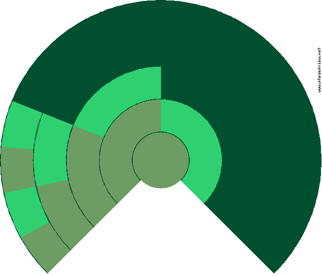 Manuel Matute Cuenca Diagrama circular