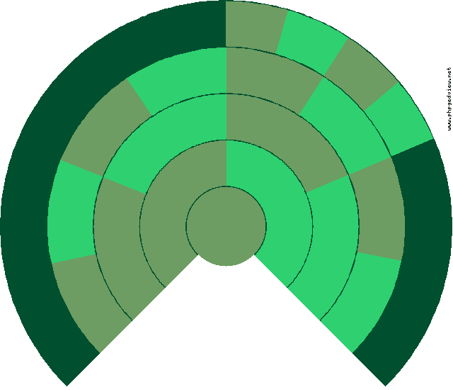 Manuela Carcas Blasco Diagrama circular